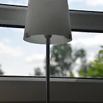 Sonnenblume Daire Hohegeiß